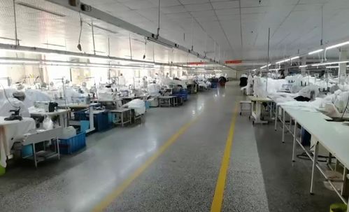記者直擊復(fù)工首日 山東16市企業(yè)全面忙起來，針紡織品大項(xiàng)目引關(guān)注